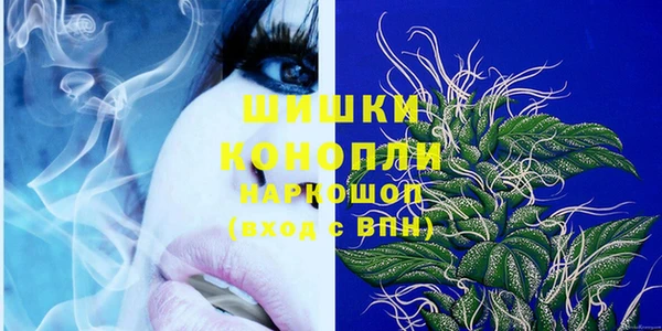 ГАЛЛЮЦИНОГЕННЫЕ ГРИБЫ Навашино
