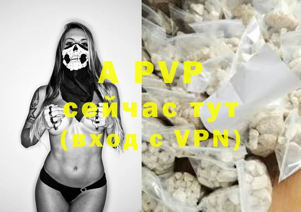 PSILOCYBIN Надым