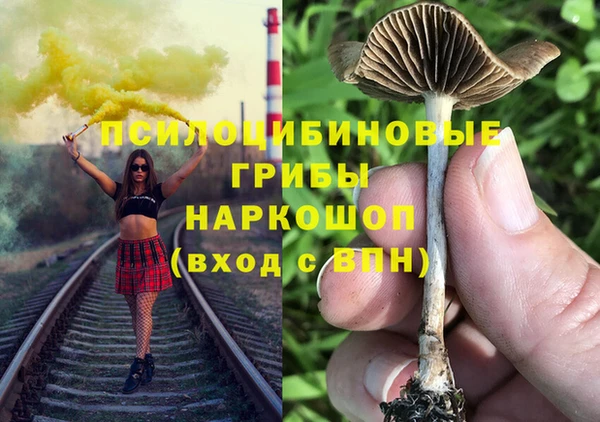 мескалин Михайлов