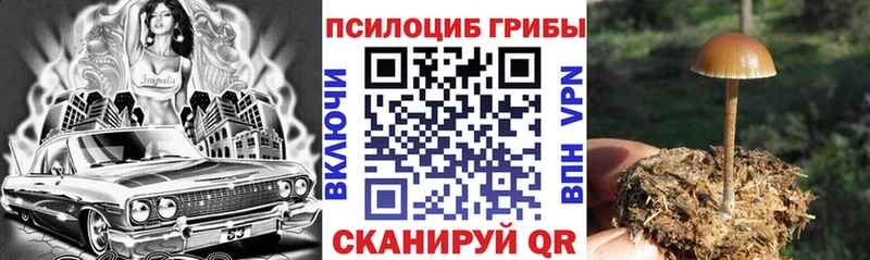 Галлюциногенные грибы GOLDEN TEACHER  Агидель 